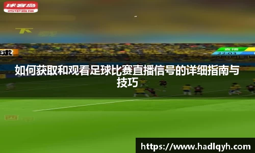 今年会在线