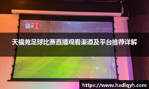 今年会在线