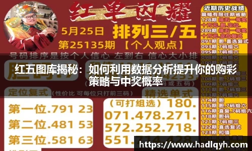 红五图库揭秘：如何利用数据分析提升你的购彩策略与中奖概率