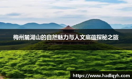 今年会全站